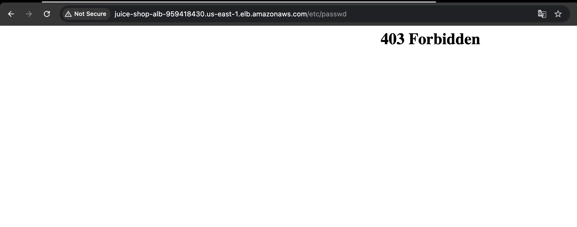 Path Traversal Test Result