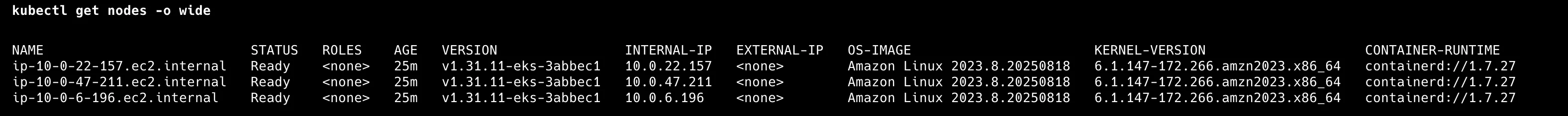 kubectl showing connected EKS nodes with containerd runtime
