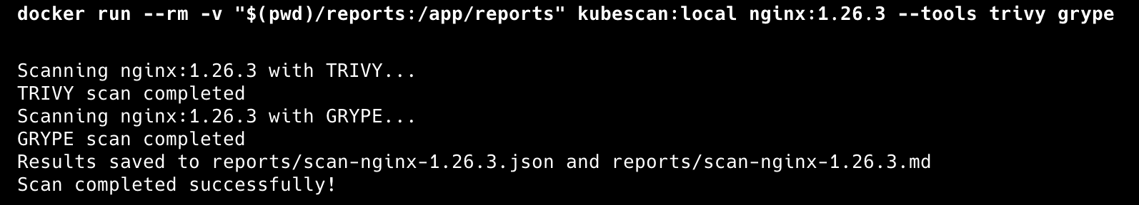 Containerized Scan