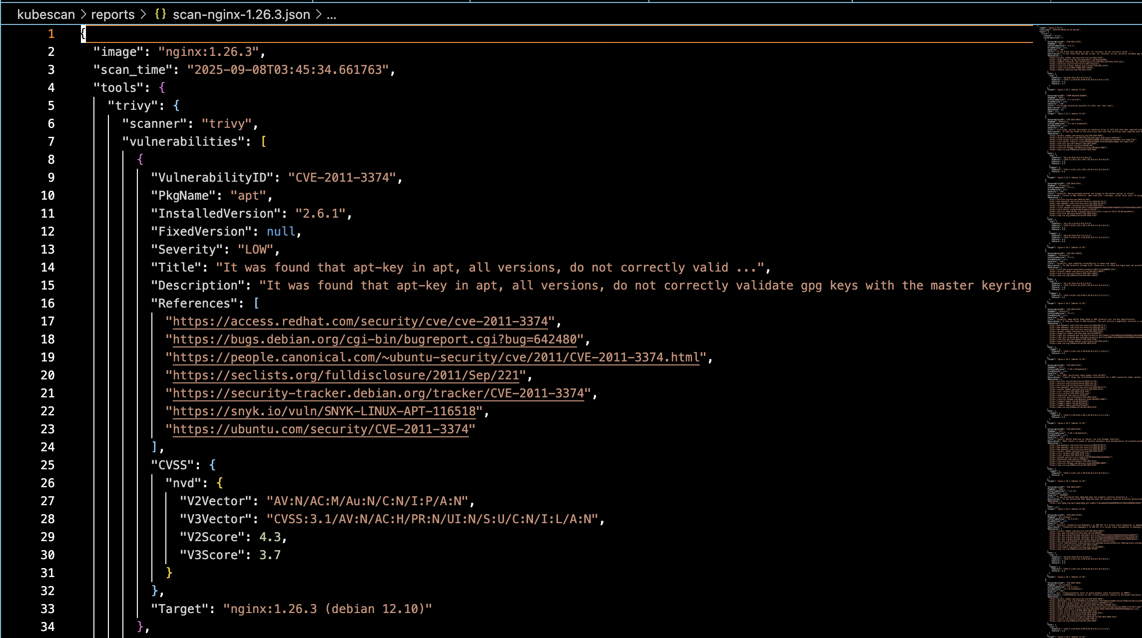 Scan Output JSON Format