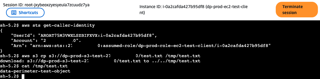 Positive path confirmed after SCP and RCP attachment: s3 cp returns test object