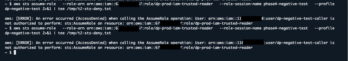 T2: generic AccessDenied from STS with no policy attribution — expected for external callers